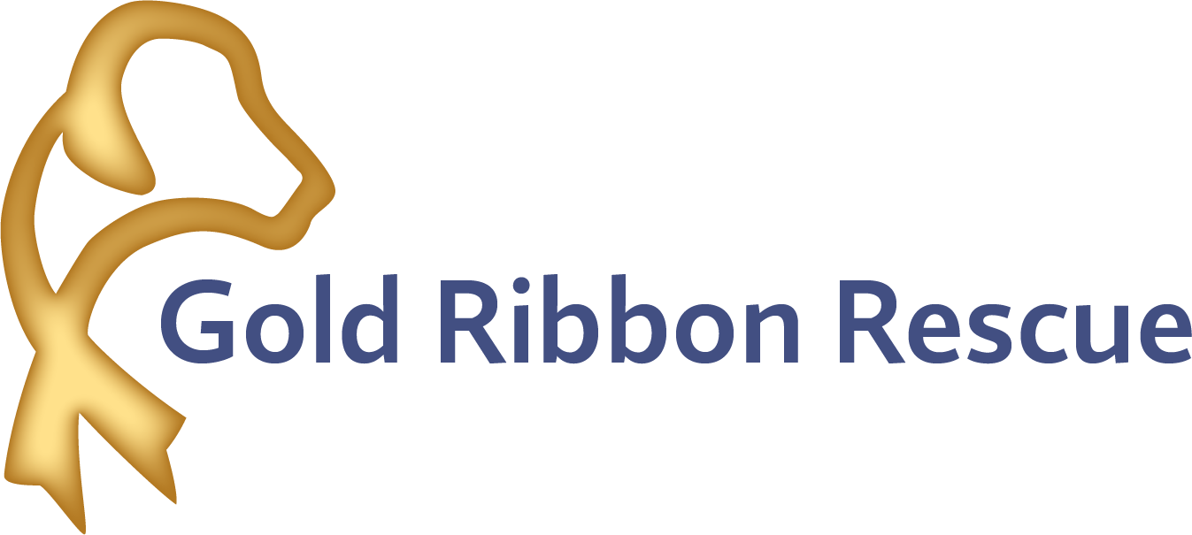 Gold Ribbon Rescue