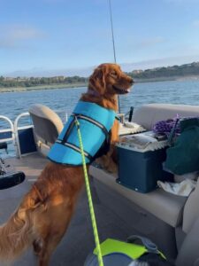 Willow Boatride