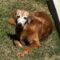 Shiloh