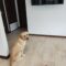 Brinkley