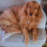 24-092 Molly