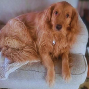 24-092 Molly