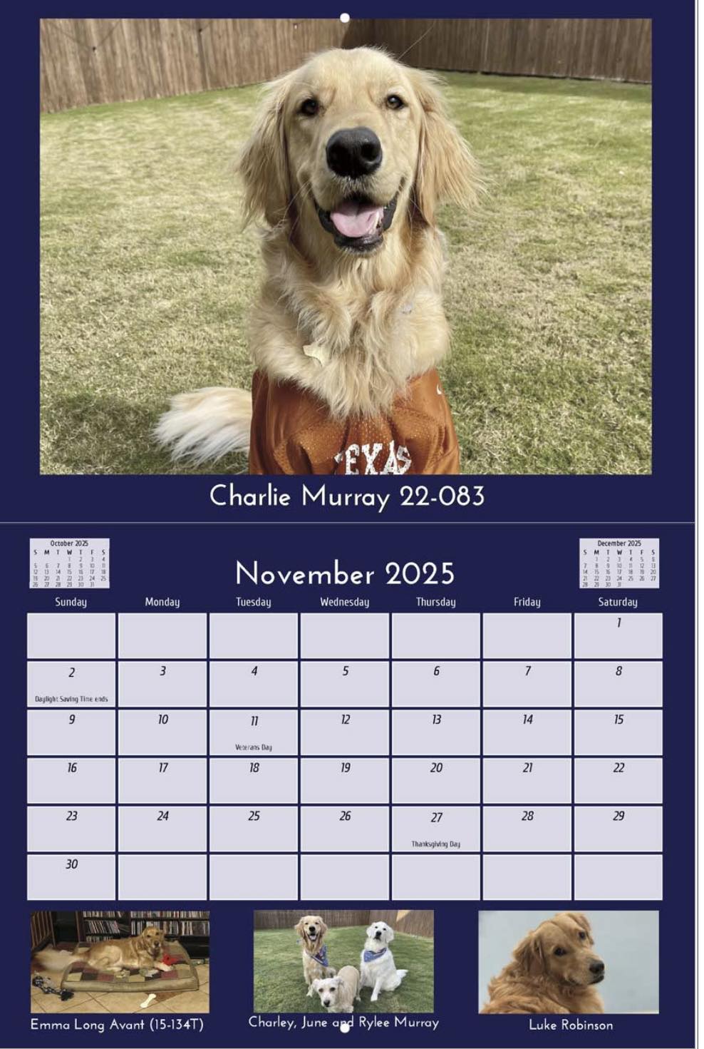 November Calendar image