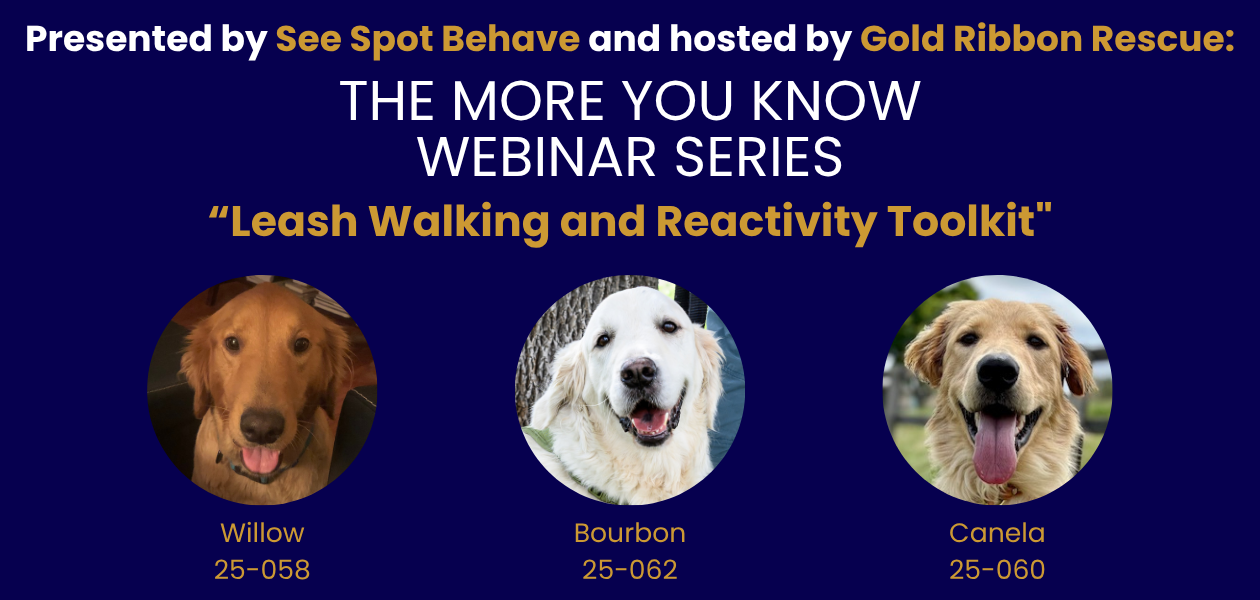 Webinar - August 2025