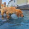 Murphy