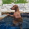 Murphy