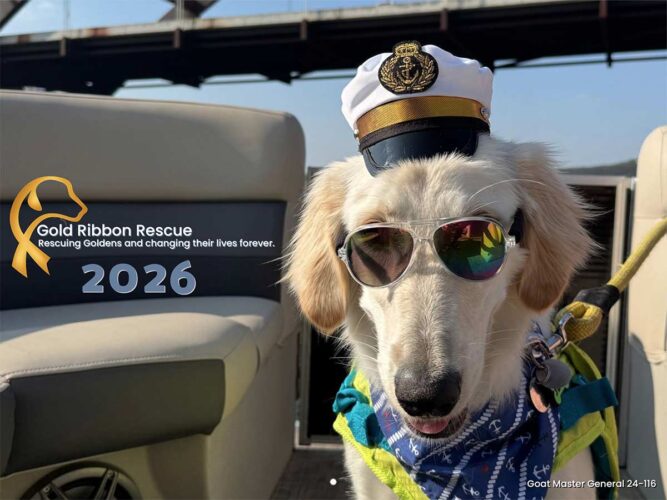 2026 Calendar Image