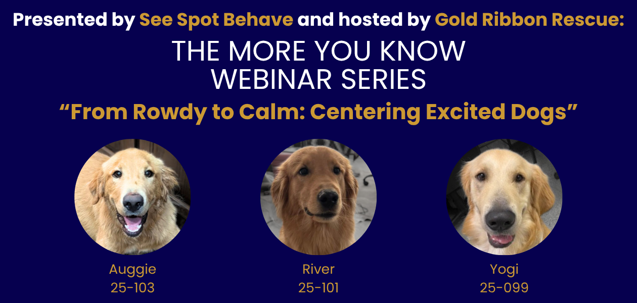 November 2025 TMYKgraphic