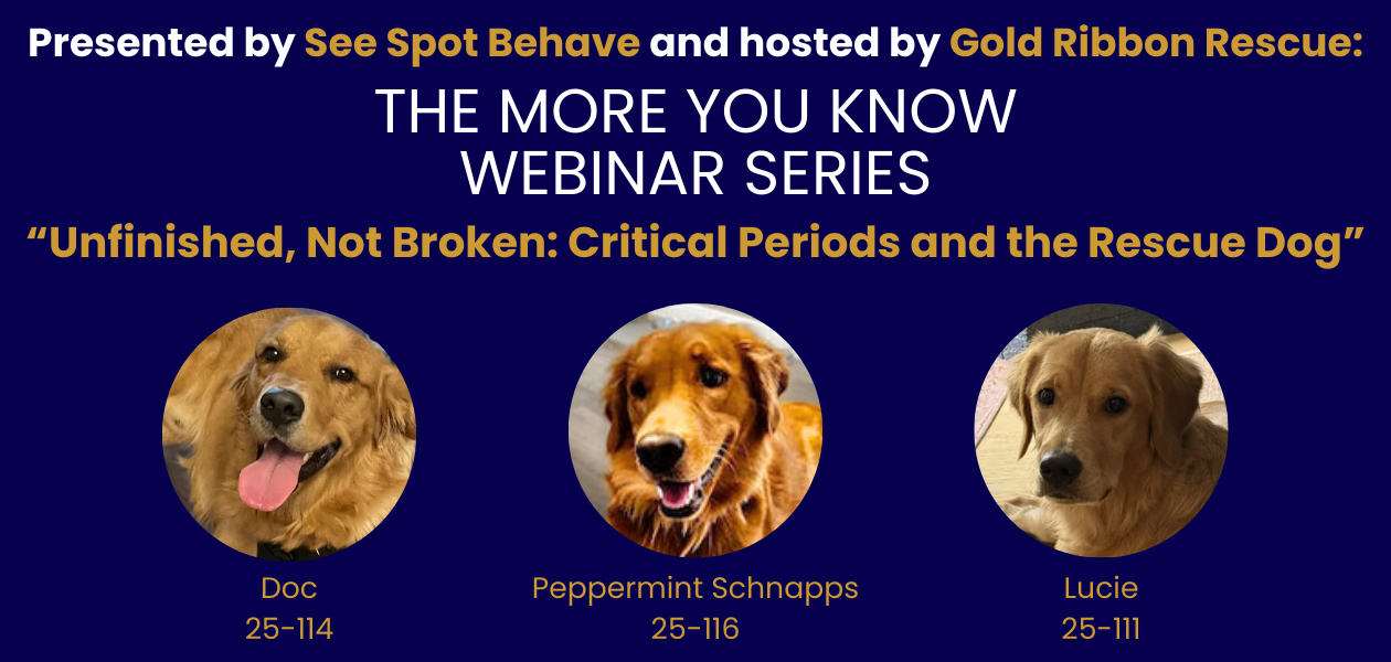 January webinar banner