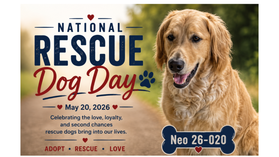 National Dog Rescue Day
