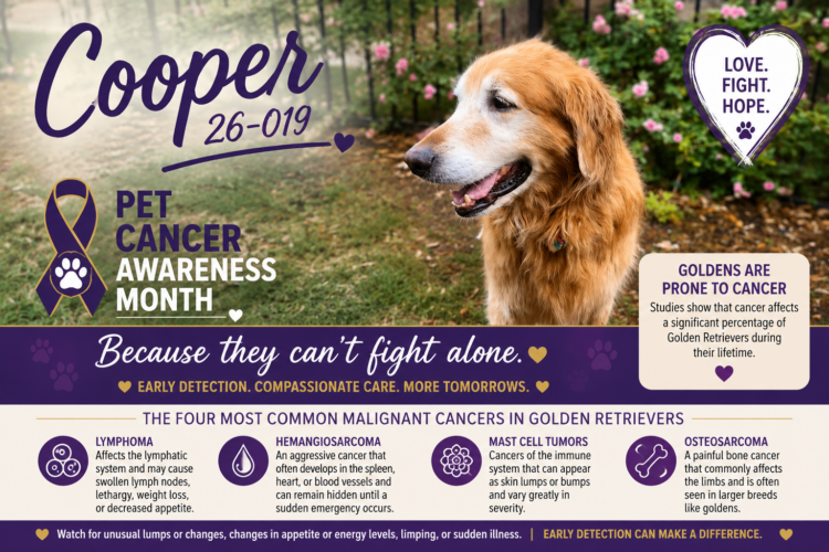 Pet Cancer Awareness Month